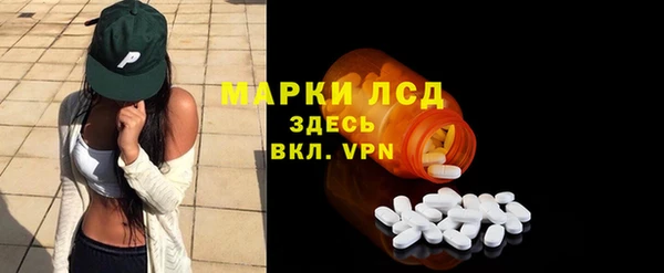 дмт Богданович