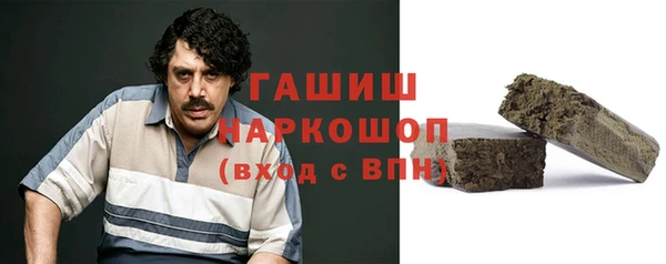 дмт Богданович