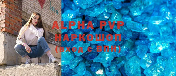 дмт Богданович
