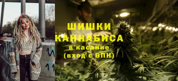 дмт Богданович