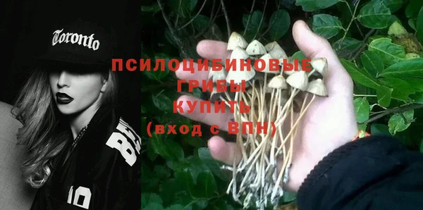 дмт Богданович