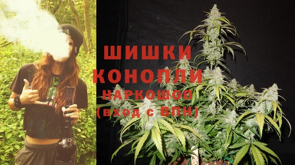 дмт Богданович