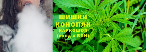 дмт Богданович