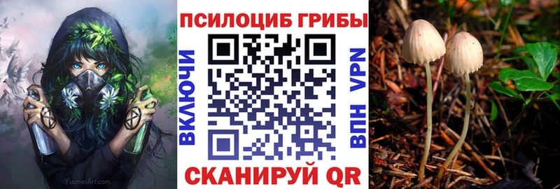 Купить  Гдов  Псилоцибиновые грибы мухоморы 